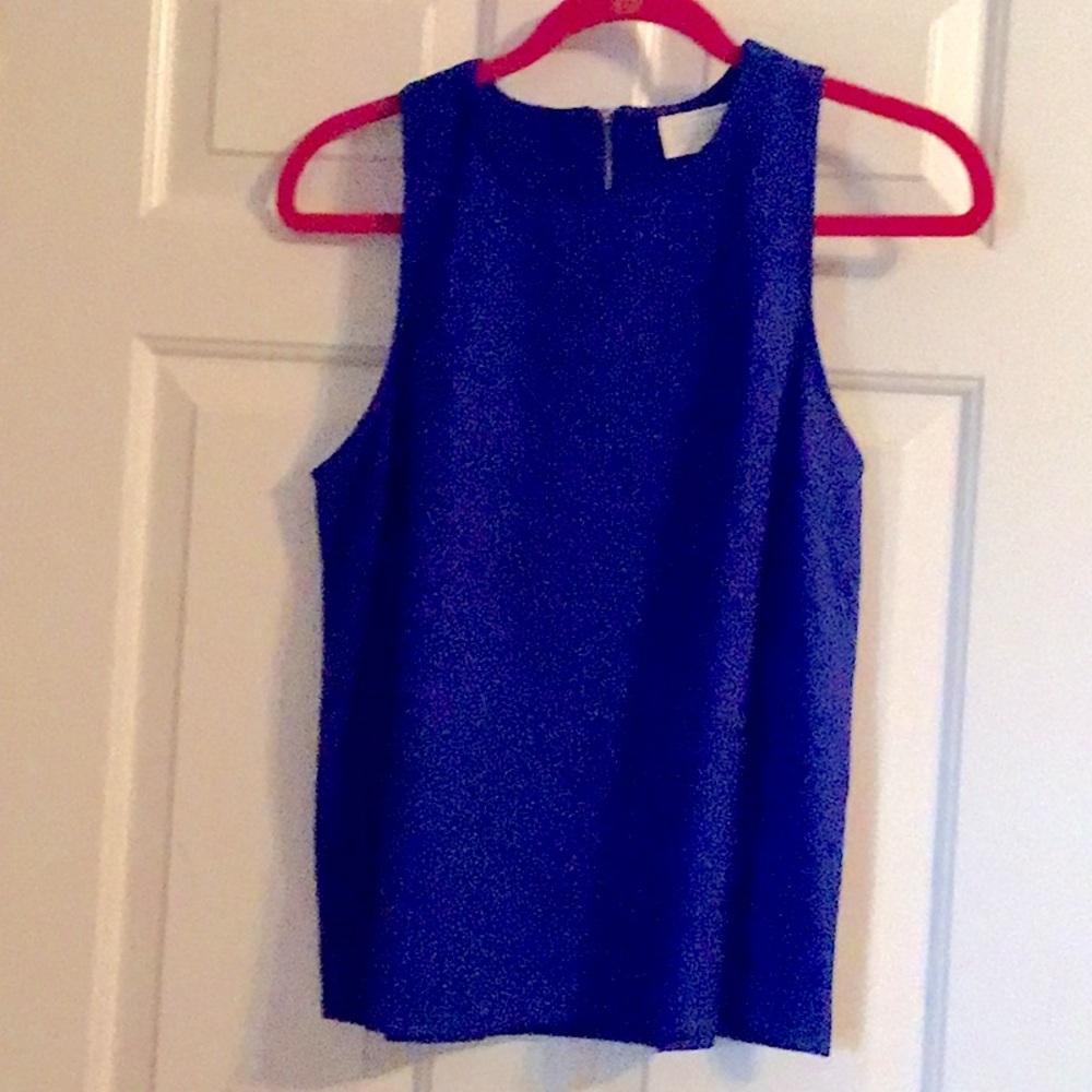 Blue Sleeveless Women's Top